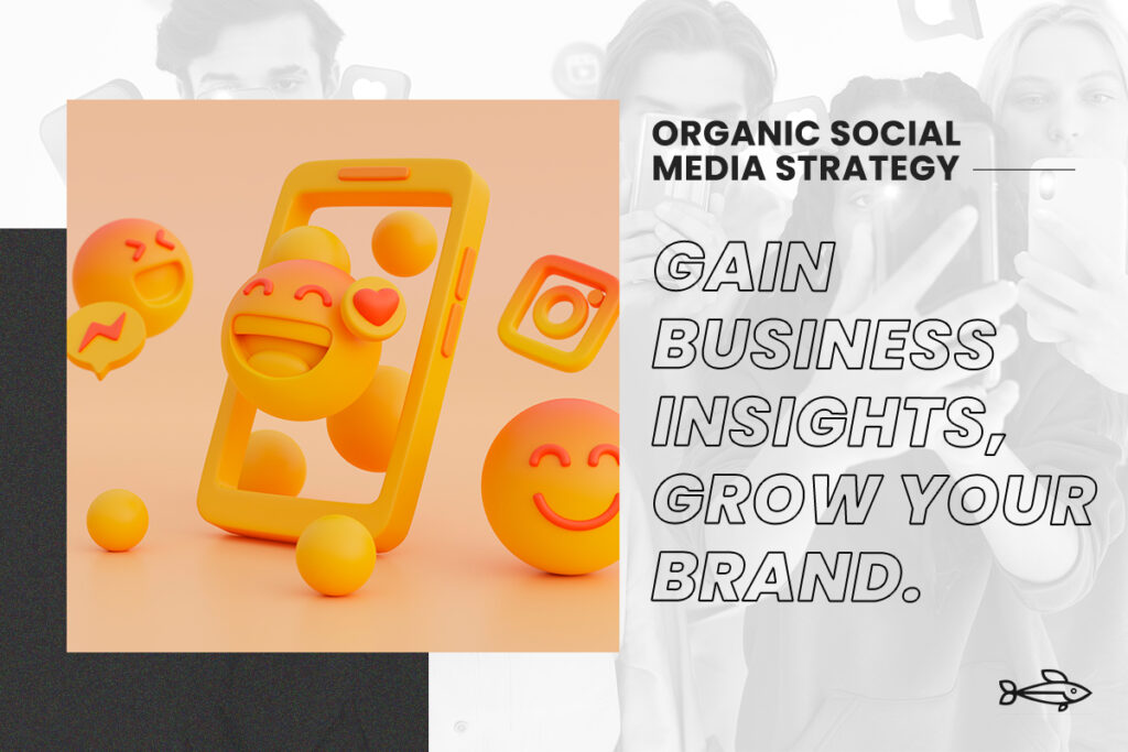  “Organic Social Media Strategy Visualization”
