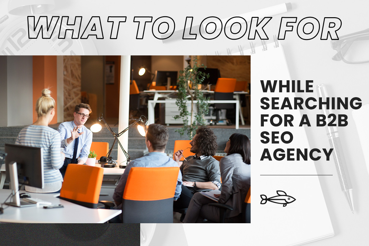 What-to-look- for-while-searching-for-a-B2B-SEO agency
