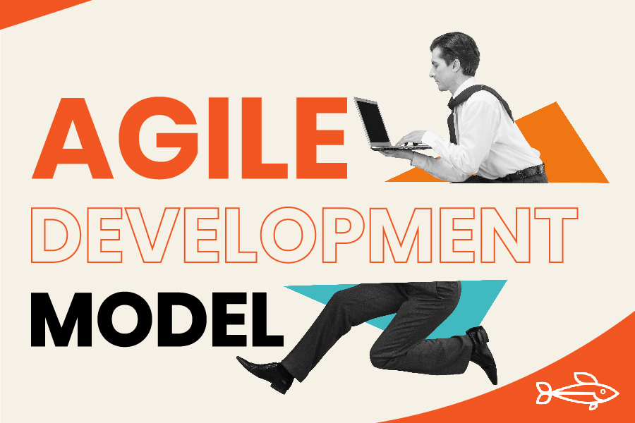 Agile Development Model in Marketing