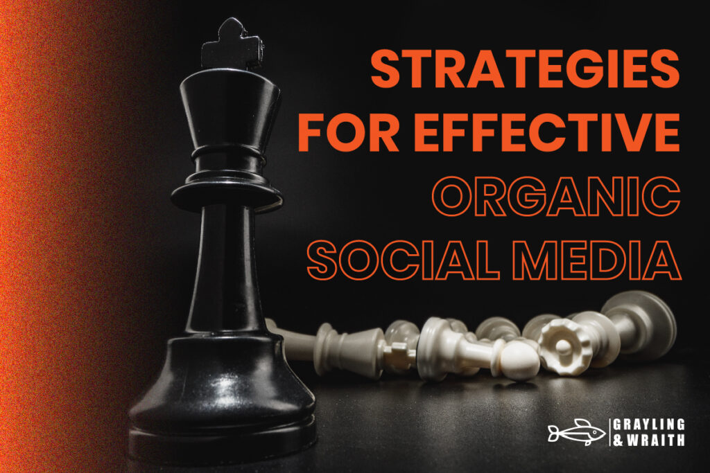 Strategies for Effective Organic Social Media - A chess king piece standing 