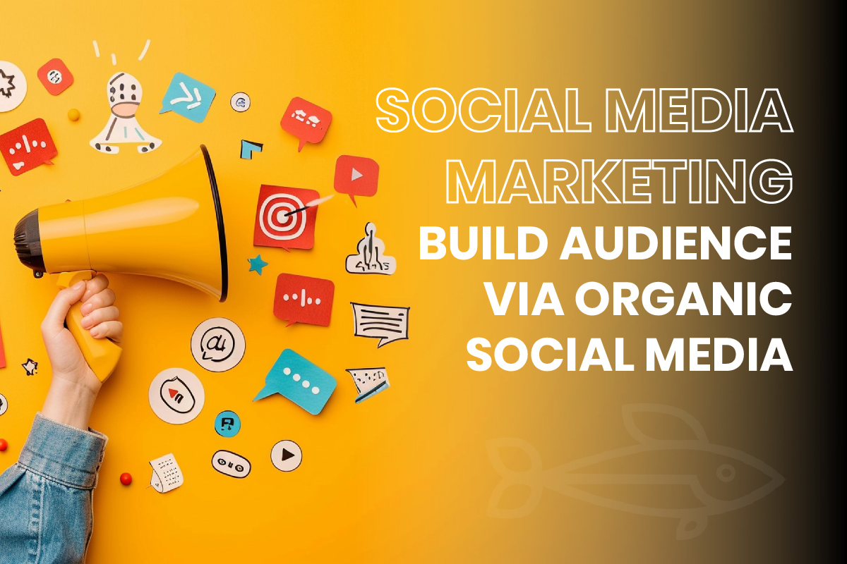 Build audience via organic social media
