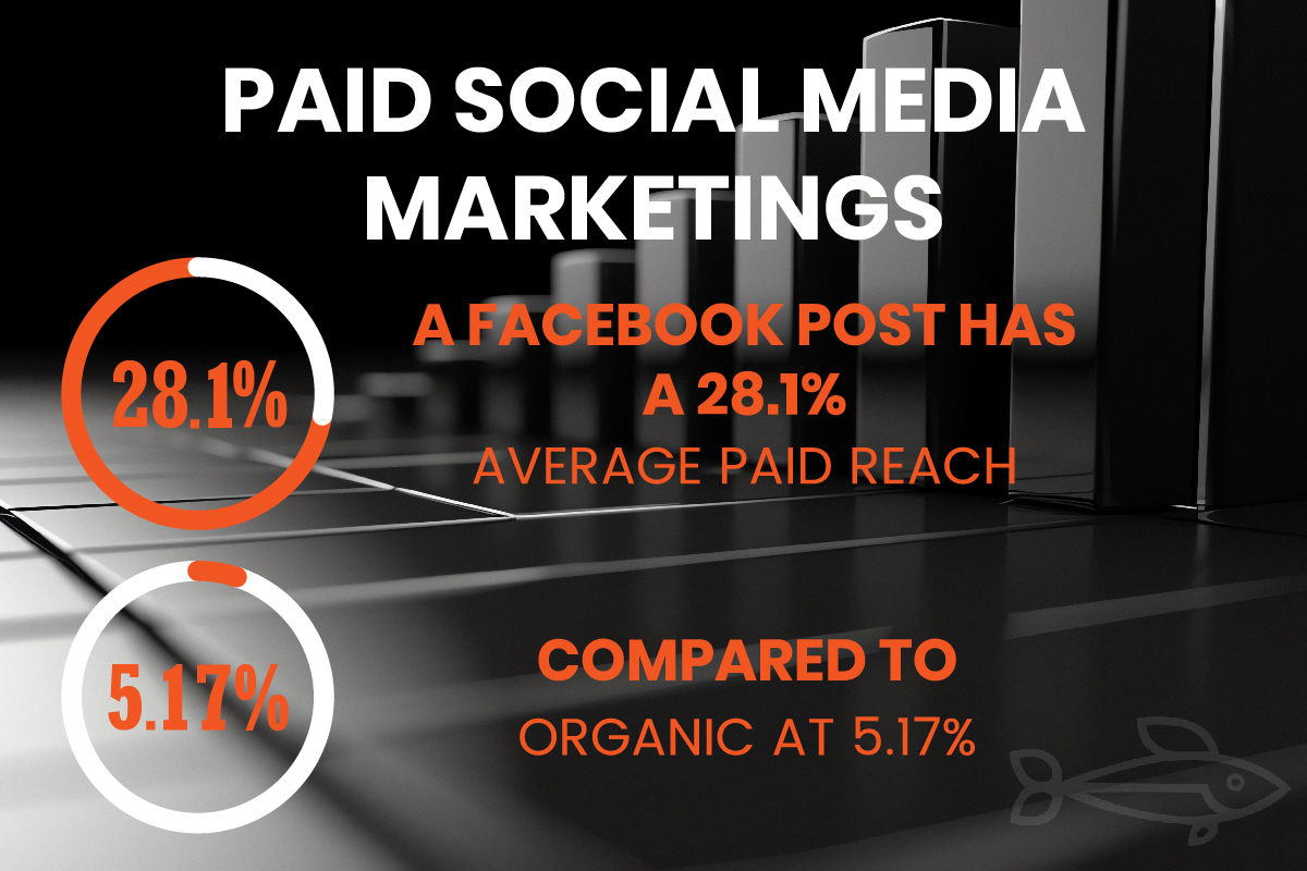 Paid social media marketing statistics