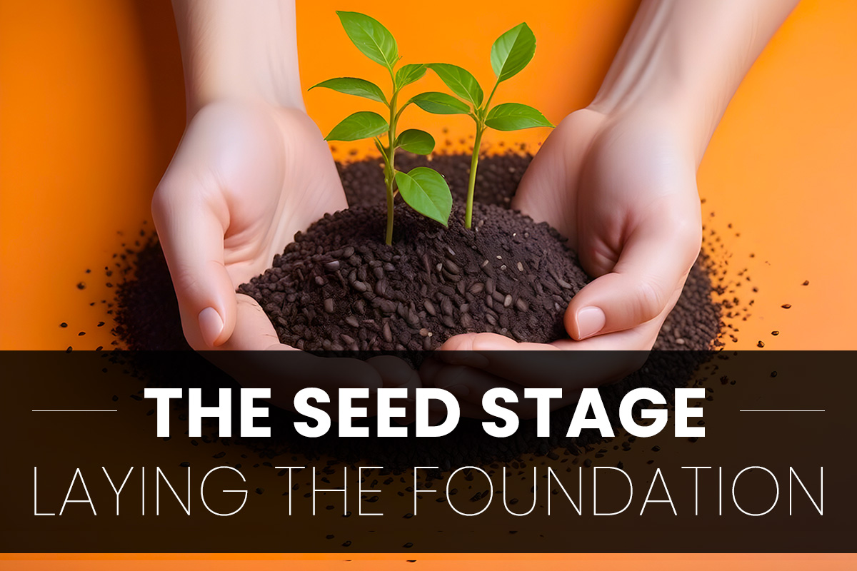 Seed Stage: Laying the Foundation