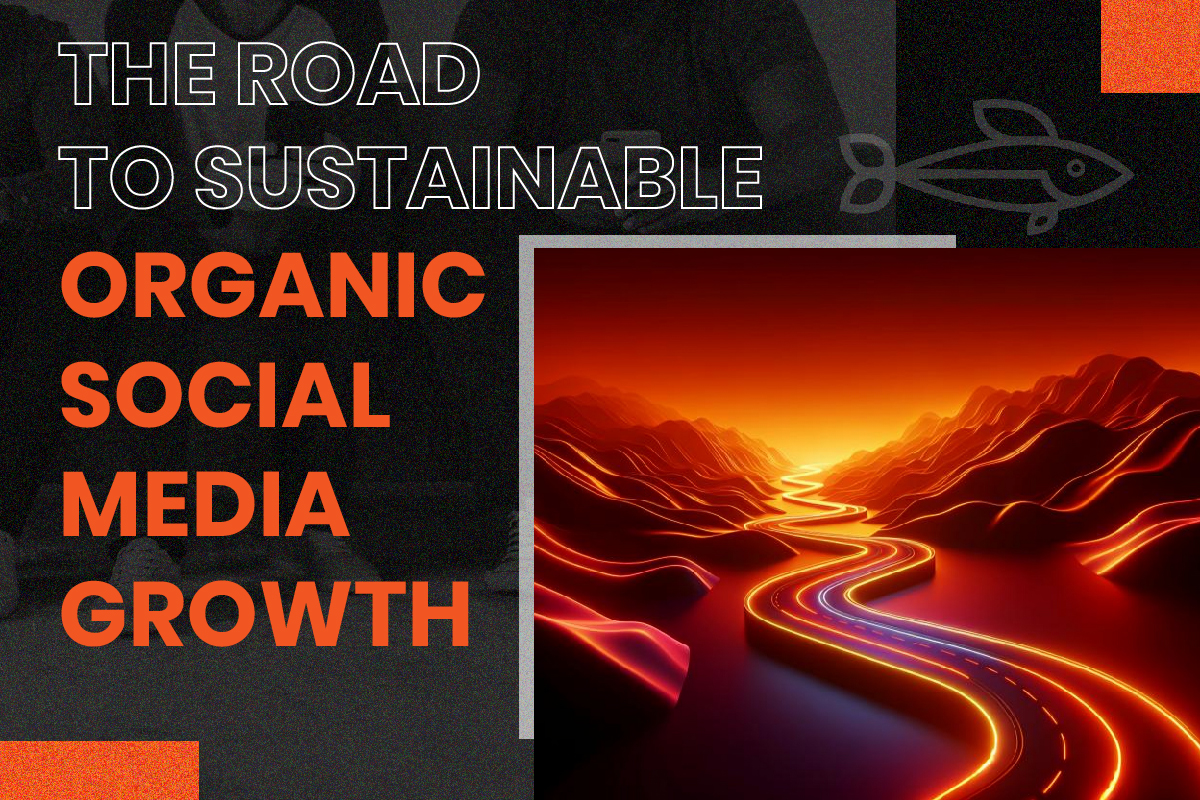 The Road to Sustainable Organic Social Media Growth